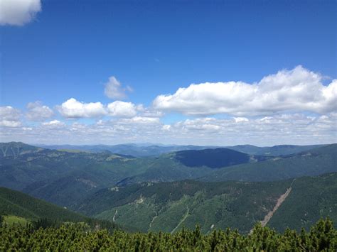 Forests of Maramures in Romania offer almost 30 mln EUR worth of environmental services annually ...