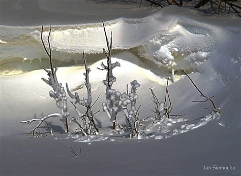 "Snow Effects !" by Jan Siemucha | Redbubble