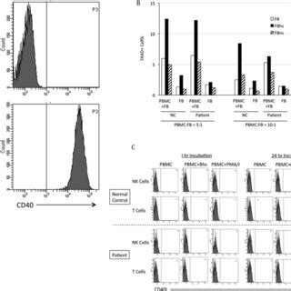 CD40L expression on T cells and CD40L gene in the XHIGM patient and a... | Download Scientific ...