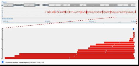 Deletion sizes on the terminal end of chromosome 22 | Download ...