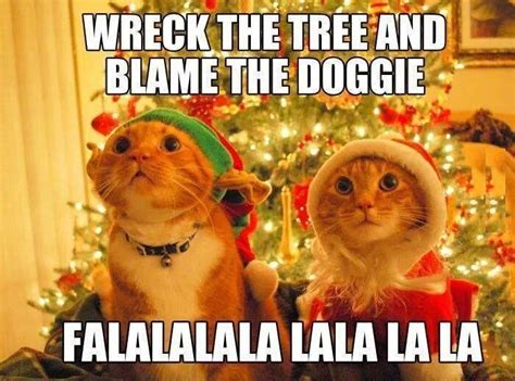 18 Christmas Memes To Make Your Holiday Funnier | Funny christmas pictures, Christmas memes ...