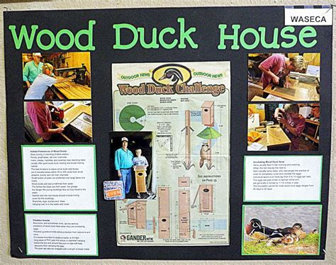 Woodworking Plans Can Crusher: Wood Duck House Dimensions Wooden Plans