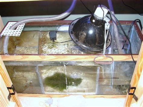 40 gallon breeder full tank setup for sale PA:( | Saltwaterfish.com ...