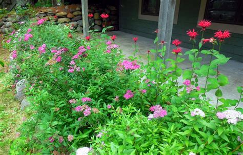 The College Gardener: Plant a Pollinator Garden at Your Vacation Home!