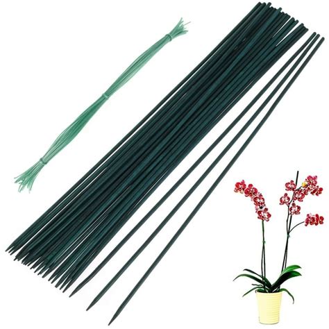 Daruoand Plant Support Stakes 30Pcs Bamboo Floral Support Pole ...