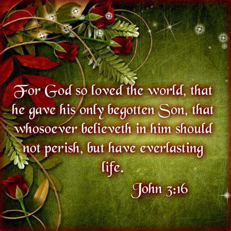 John 3:16 - Inspirational Bible Verse