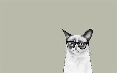 Minimalist Cat Wallpapers - Top Free Minimalist Cat Backgrounds ...