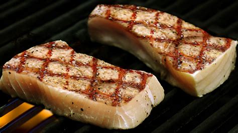 Grilled Shark Marinade Recipes | Besto Blog