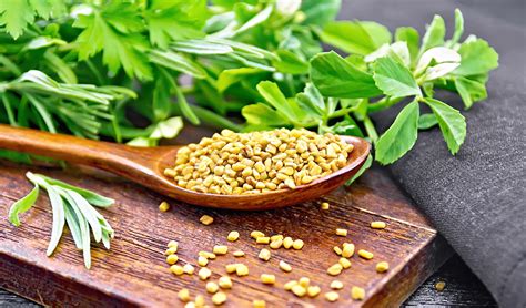 Top 10 Science-Based Health Benefits of Fenugreek Seeds – Healthy Blog