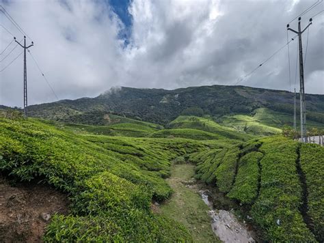 Anamudi peak, Kerala : r/IncredibleIndia