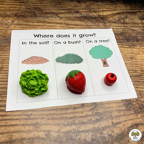 Gardening and growing Fruits and Vegetables Activity Pack - Pre-K Printable Fun