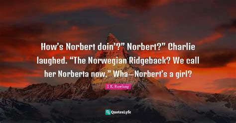 How’s Norbert doin’?” Norbert?” Charlie laughed. “The Norweg... Quote by J. K. Rowling - QuotesLyfe