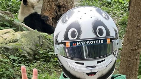 Alex Albon unveils fantastic panda-themed helmet for F1 Chinese Grand Prix