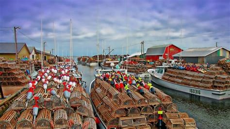 Nova Scotia lobster fisheries shut down, some tied up in P.E.I. | CBC News