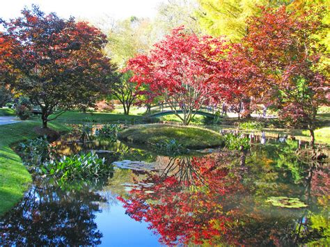 Monet's Pond — Japanese Pond