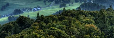 Schauinsland Peak | The Black Forest, Germany | Attractions - Lonely Planet