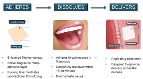 Suboxone strips : Ingredients, uses, side effects and drug test - Drugs ...