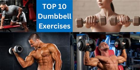 Top 10 Dumbbell Exercises for Home or the Gym | A Lean Life