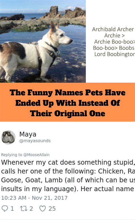 People are sharing how their pet names have evolved and it’s hilarious ...