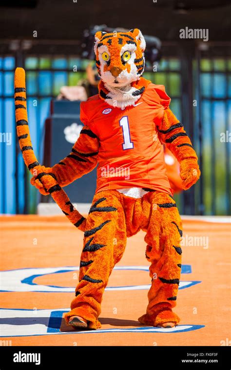 The Clemson Tiger Mascot during the Clemson Football Spring Game ...