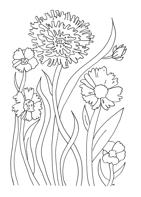 Beautiful flowers to color - Flower Coloring Pages for Kids