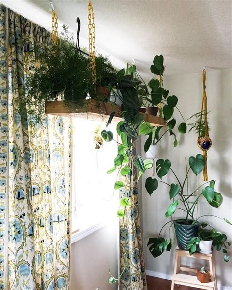 Out Of This World Best Way To Hang Plants From Ceiling Hanging Basket Vines