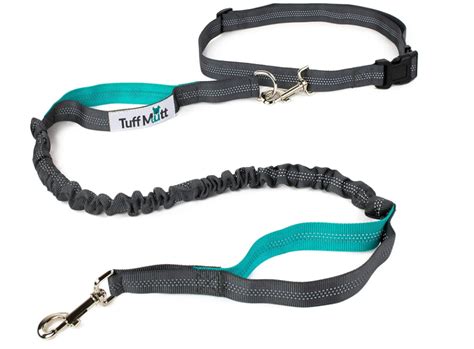 Want Your Dog To Hike With You? Try These 10 Must-Have Items | BODi