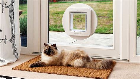 Cat flap installation in North, West and South Yorkshire