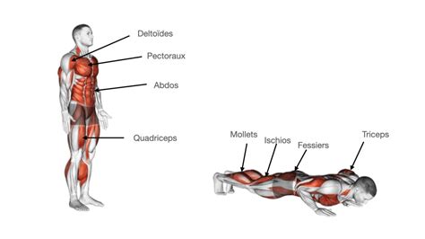 Les Burpees - Muscu Street et Crossfit