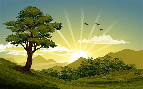 Premium Vector | Sunrise nature