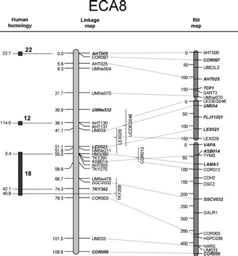 Genetic linkage maps | Veterian Key