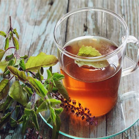 7 Amazing Health Benefits of Tulsi Tea (and its Side Effects) - Recipes.net