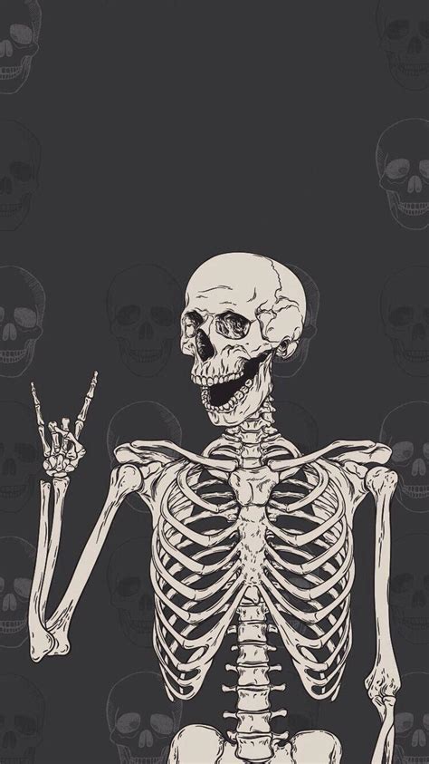 Skeleton Pfp Aesthetic - Witchy Asthetic Spooky Katzen Lock ...