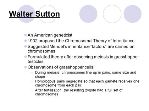 Important scientists and theories. Walter Sutton An American geneticist 1902 proposed the ...