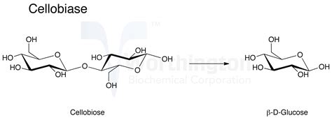 Pectinase - Worthington Enzyme Manual