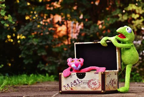 Plush Toys Kermit The Pink Panther - Free photo on Pixabay - Pixabay