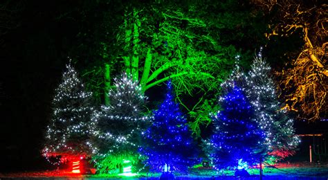 Experience the Magic of Christmas at Kew Gardens – Planning Your Adventure