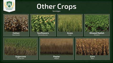 Farming Simulator 22: Different Crop Types | Overview | Guide