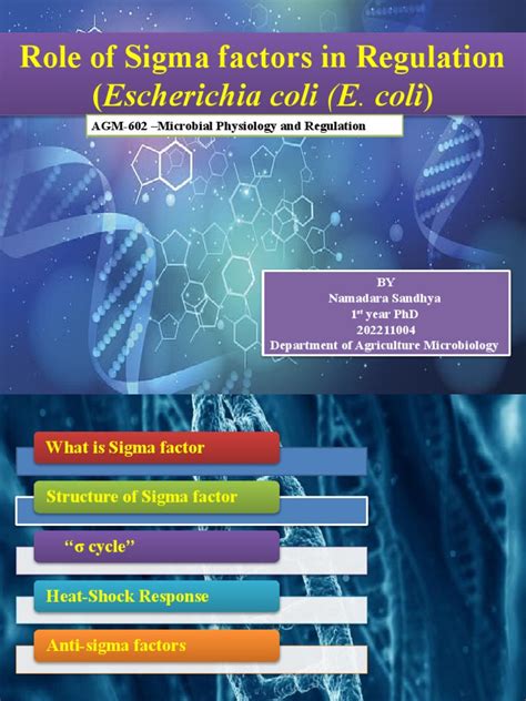 Role of Sigma Factor | PDF | Chemistry | Structural Biology