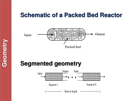 Packed Bed Reactor Lumped