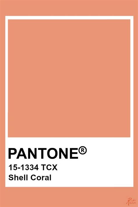 Pantone Shell Coral | Kleurenpalet, Pantone, Kleuren