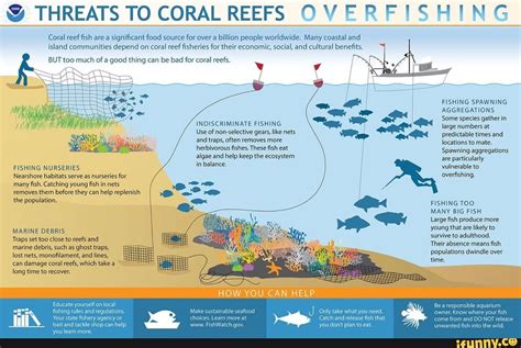 THREATS TO CORAL REEFS OVERFISH! Coral reef fish are a significant food ...