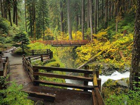 13 Best Hikes in Olympic National Park for All Levels (+ Map!)