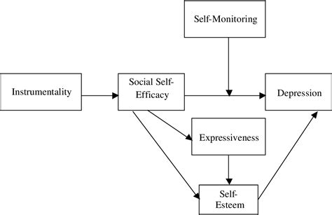 The influence of social self-efficacy, self-esteem, and personality differences on loneliness ...