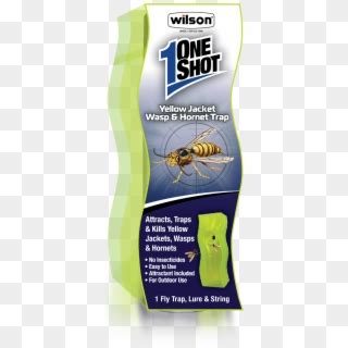 Wilson Oneshot Yellow Jacket & Hornet Trap - Slug, HD Png Download ...