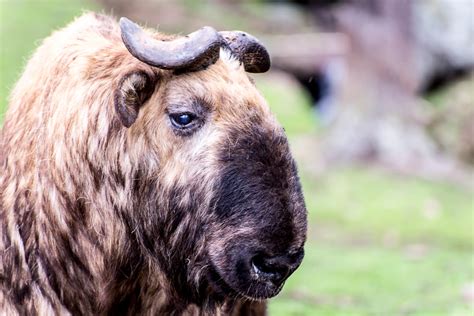 Bhutan - Photos Of A Mystical and Misunderstood Country