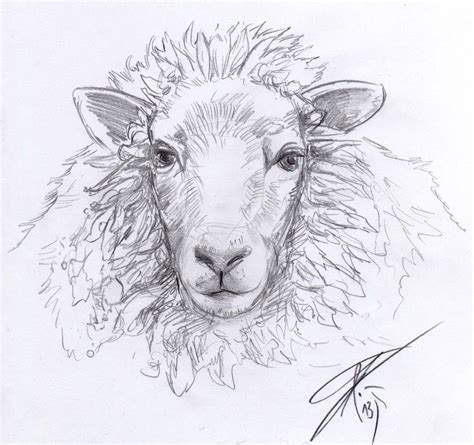 Sheep Sketch by Bruneburg on DeviantArt | Sheep art, Sheep paintings, Sheep drawing