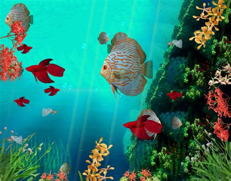 Free Fish Tank Wallpaper Animated - WallpaperSafari