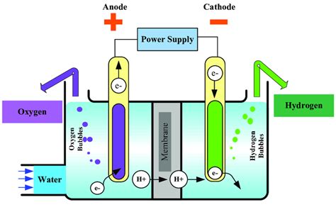 General principle of a water electrolysis cell. | Download Scientific ...