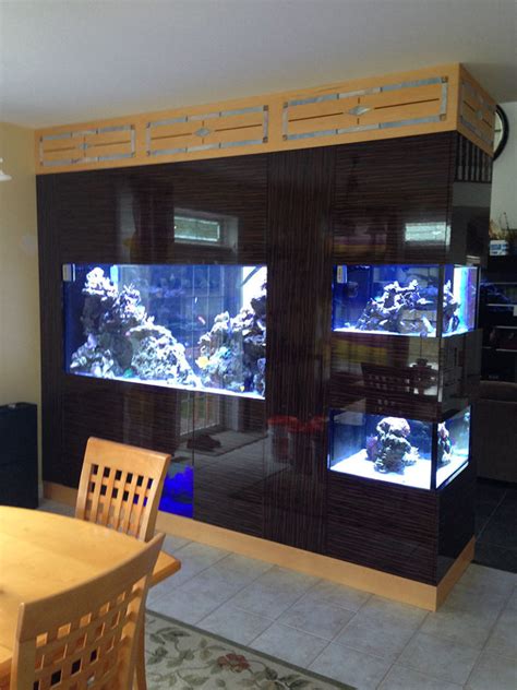 Aspects of Modern Fish Tank Design - Armco Aquariums Serving Philadelphia, Wilmington, DE, PA ...